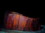 Polished One Side Classic Dadoxylon Petrified Wood Branch Segment x 1 From Gokwe, Zimbabwe