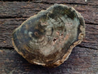 Polished One Side Classic Dadoxylon Petrified Wood Branch Segment x 1 From Gokwe, Zimbabwe