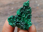 Polished and Natural Mixed Set of 20 African Minerals Crystals and Fossil in a Wooden Display Box x 1 From Southern Africa