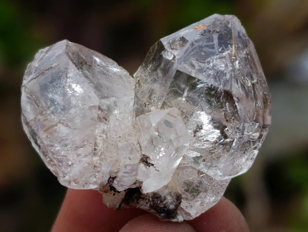 Polished and Natural Mixed Set of 20 African Minerals Crystals and Fossil in a Wooden Display Box x 1 From Southern Africa