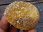 Polished and Natural Mixed Set of 20 African Minerals Crystals and Fossil in a Wooden Display Box x 1 From Southern Africa