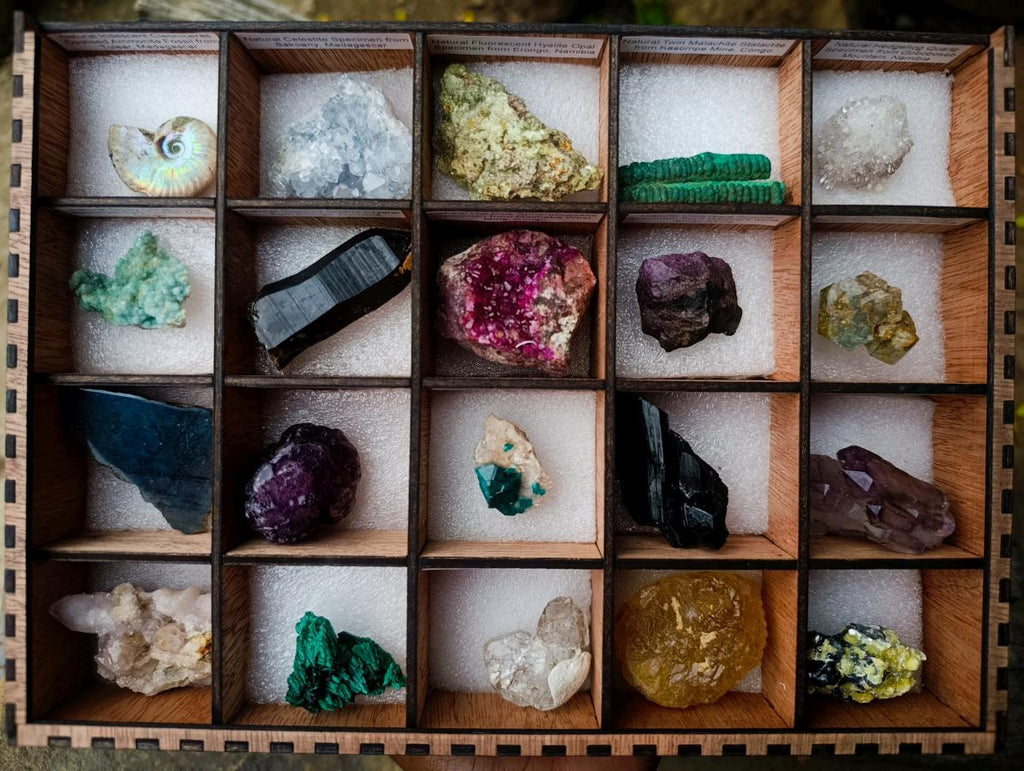 Polished and Natural Mixed Set of 20 African Minerals Crystals and Fossil in a Wooden Display Box x 1 From Southern Africa