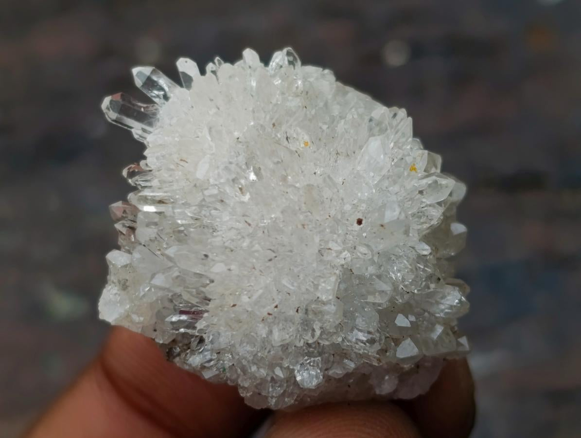 Polished and Natural Mixed Set of 20 African Minerals Crystals and Fossil in a Wooden Display Box x 1 From Southern Africa