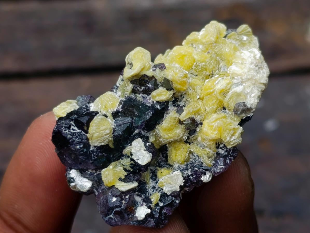 Polished and Natural Mixed Set of 20 African Minerals Crystals and Fossil in a Wooden Display Box x 1 From Southern Africa
