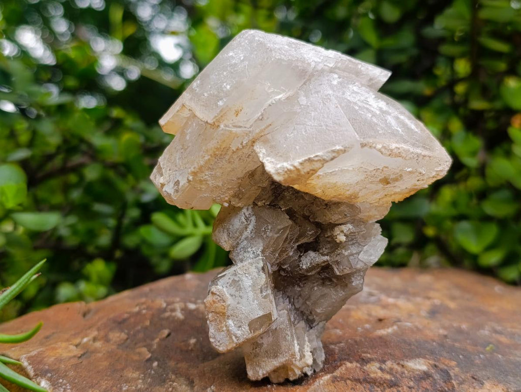Natural Stacked Highly Fluorescent Lesotho Calcite Rhombohedron Specimen x 1 From Albert's Mountain, Lesotho