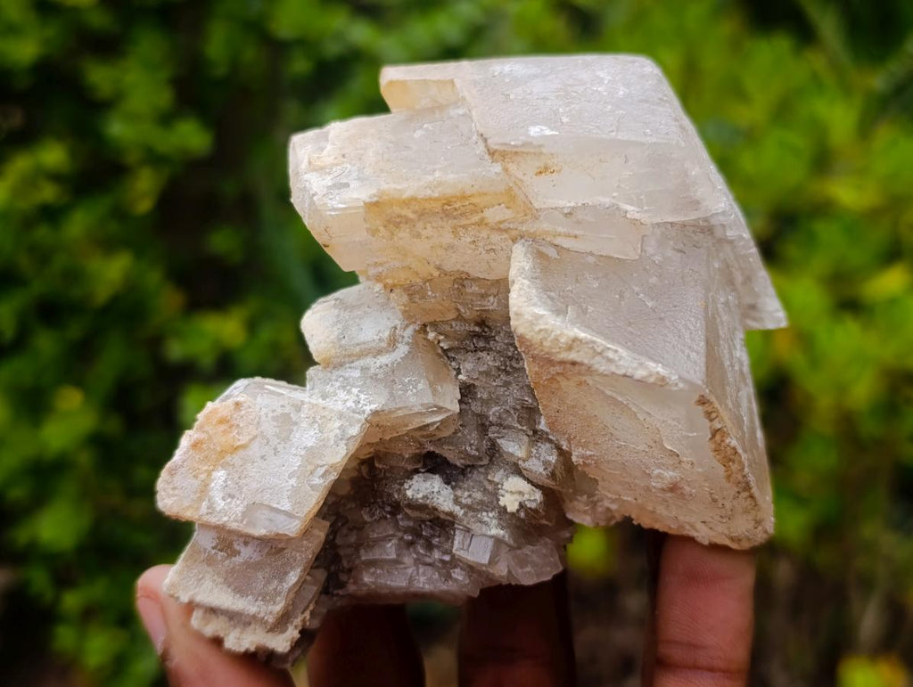 Natural Stacked Highly Fluorescent Lesotho Calcite Rhombohedron Specimen x 1 From Albert's Mountain, Lesotho
