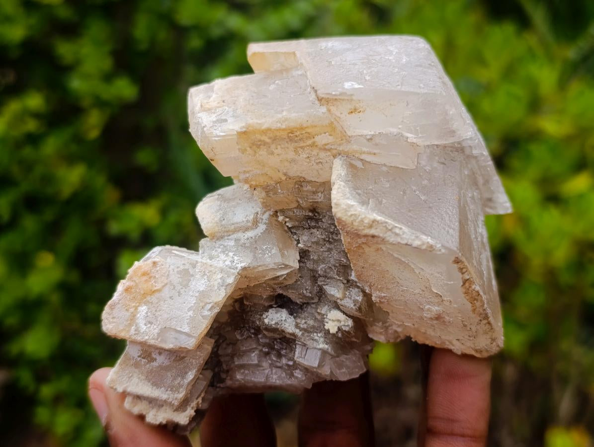 Natural Stacked Highly Fluorescent Lesotho Calcite Rhombohedron Specimen x 1 From Albert's Mountain, Lesotho