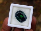 Polished Verdelite Green Tourmaline Cushion Cut Faceted Gemstone x 1 From Karibib, Namibia
