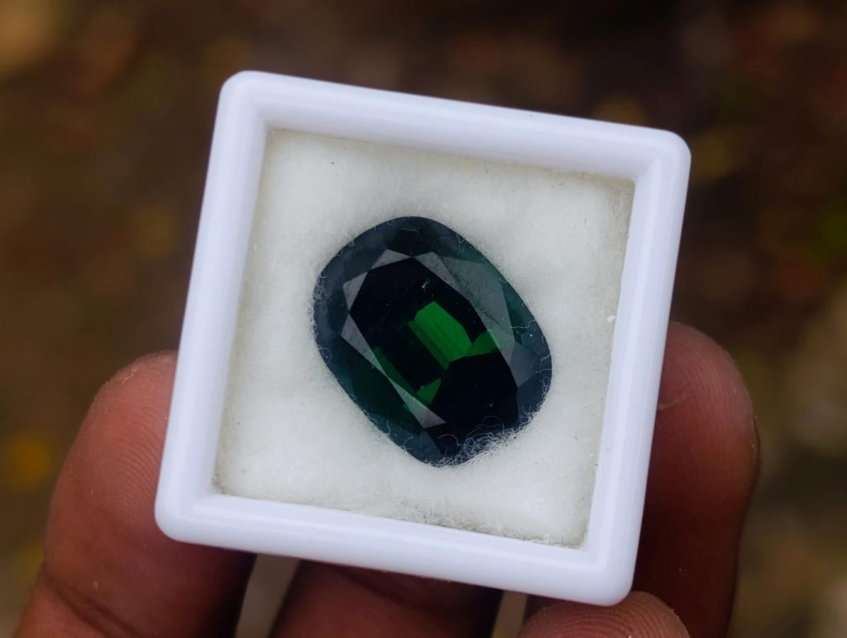 Polished Verdelite Green Tourmaline Cushion Cut Faceted Gemstone x 1 From Karibib, Namibia