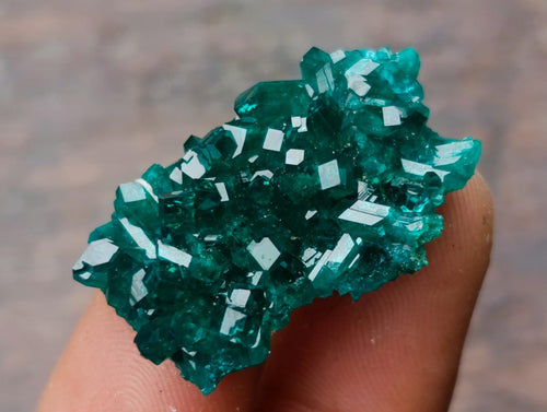 Natural Pair of Superb Namibian Dioptase Thumbnail Miniature Specimens x 1 From Namibia