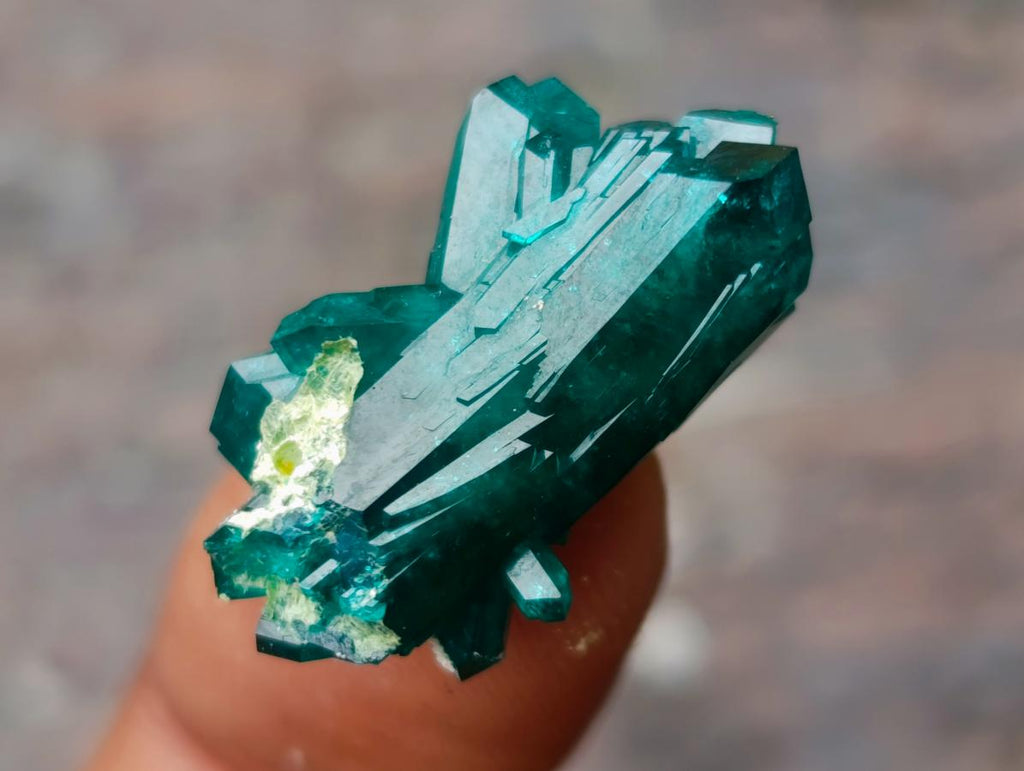 Natural Pair of Superb Namibian Dioptase Thumbnail Miniature Specimens x 1 From Namibia