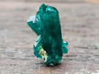 Natural Pair of Superb Namibian Dioptase Thumbnail Miniature Specimens x 1 From Namibia