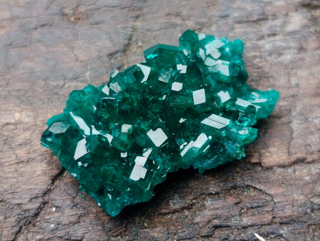 Natural Pair of Superb Namibian Dioptase Thumbnail Miniature Specimens x 1 From Namibia