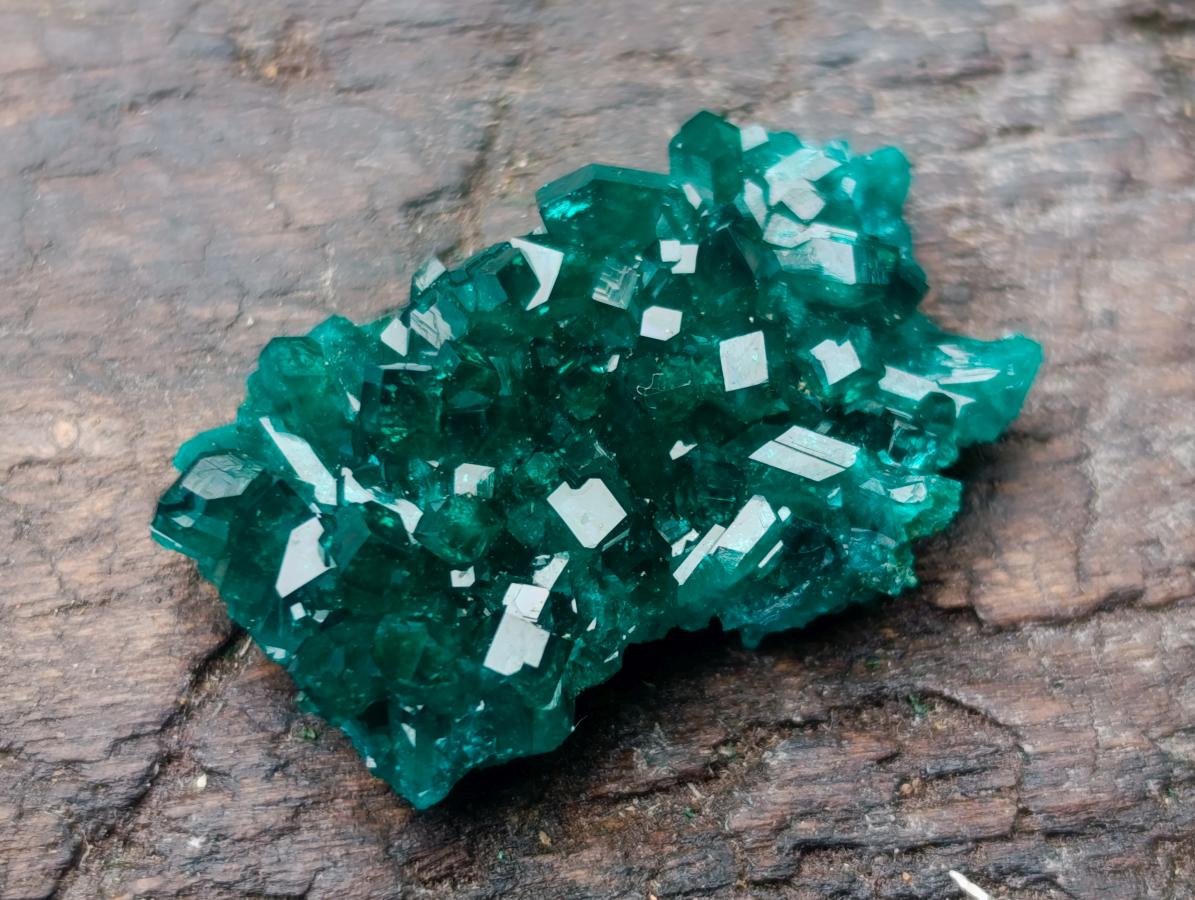 Natural Pair of Superb Namibian Dioptase Thumbnail Miniature Specimens x 1 From Namibia