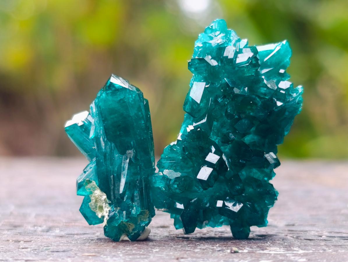 Natural Pair of Superb Namibian Dioptase Thumbnail Miniature Specimens x 1 From Namibia