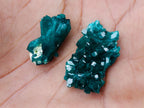Natural Pair of Superb Namibian Dioptase Thumbnail Miniature Specimens x 1 From Namibia