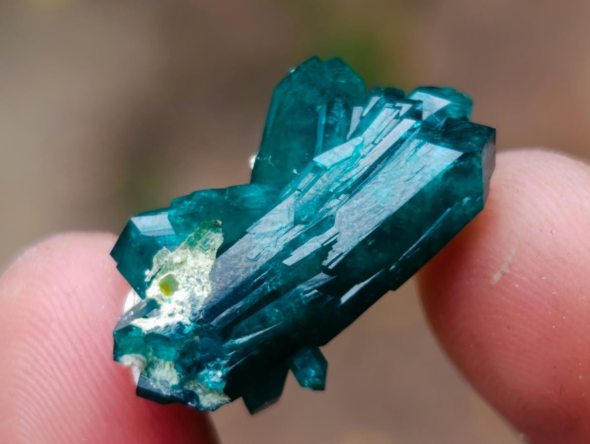Natural Pair of Superb Namibian Dioptase Thumbnail Miniature Specimens x 1 From Namibia