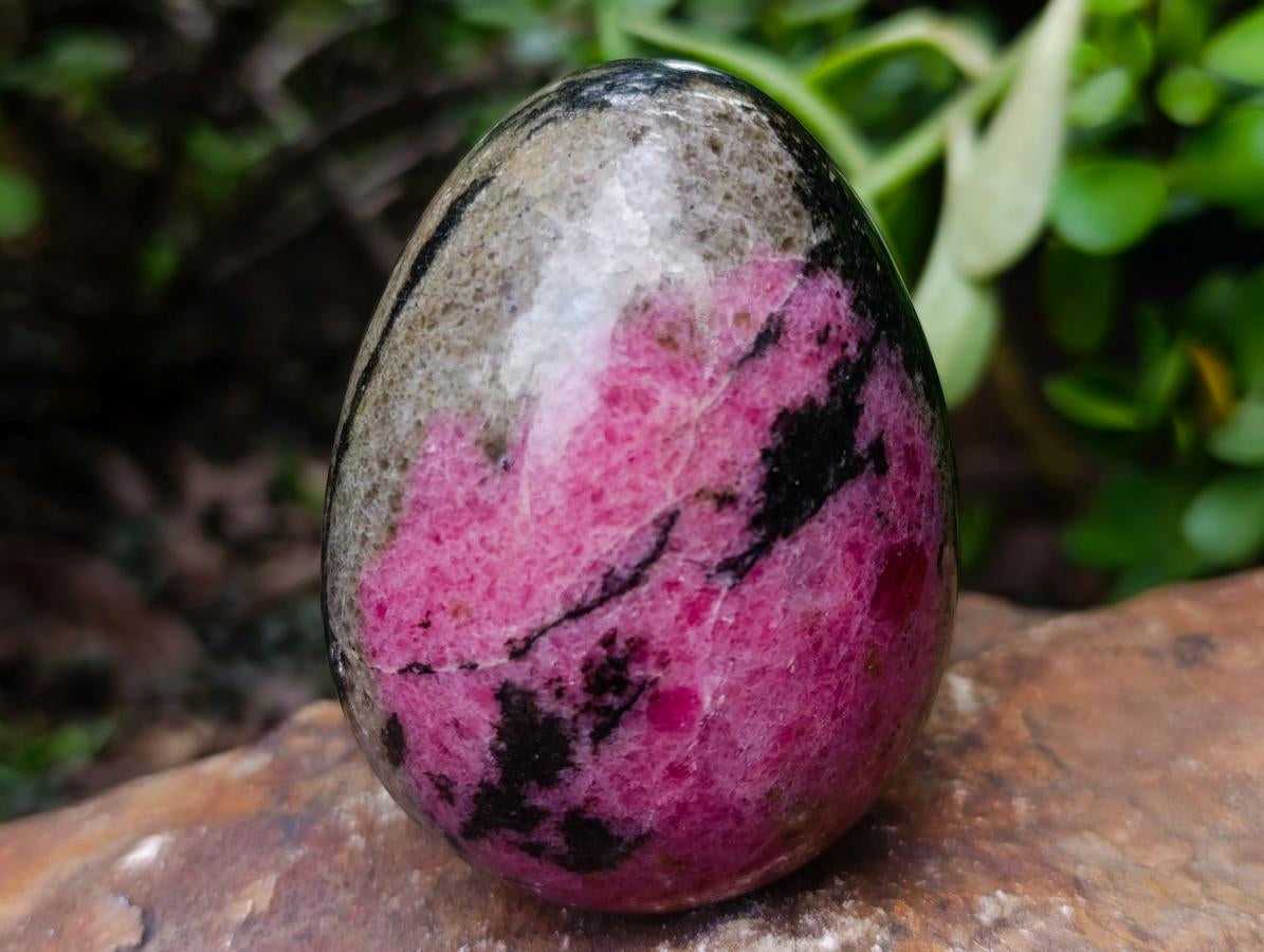 Polished Pink White and Black Banded Rhodonite Gemstone Egg x 1 From Madagascar