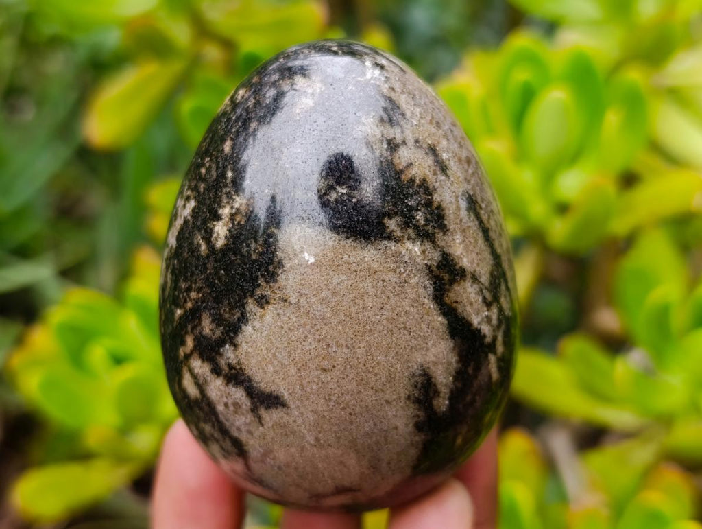 Polished Pink White and Black Banded Rhodonite Gemstone Egg x 1 From Madagascar