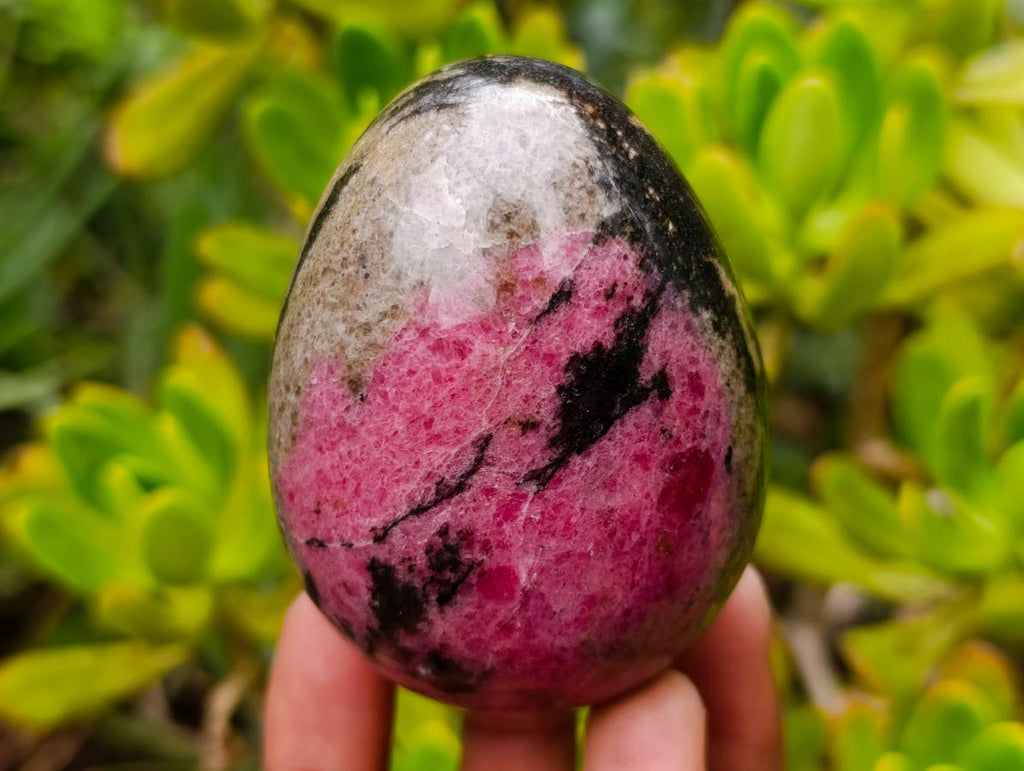 Polished Pink White and Black Banded Rhodonite Gemstone Egg x 1 From Madagascar