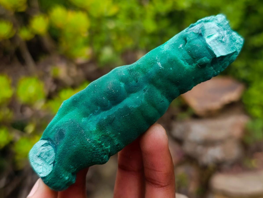 Natural Groovy Long Malachite Stalagmite Specimen x 1 From Kasompe, Congo