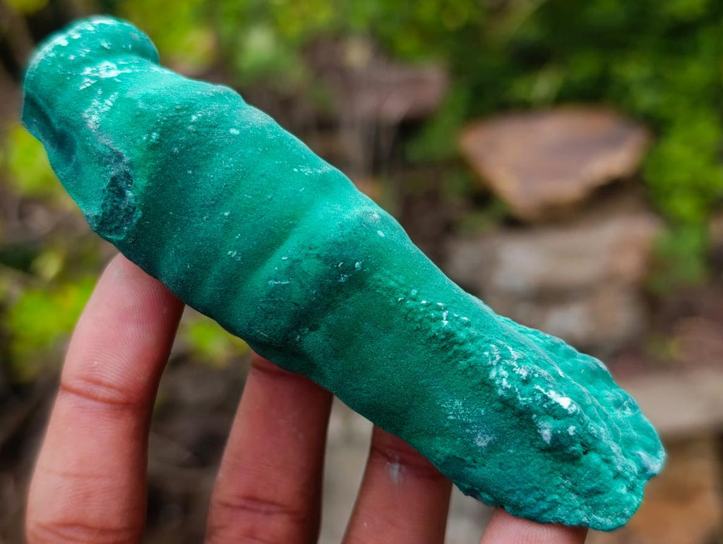 Natural Groovy Long Malachite Stalagmite Specimen x 1 From Kasompe, Congo