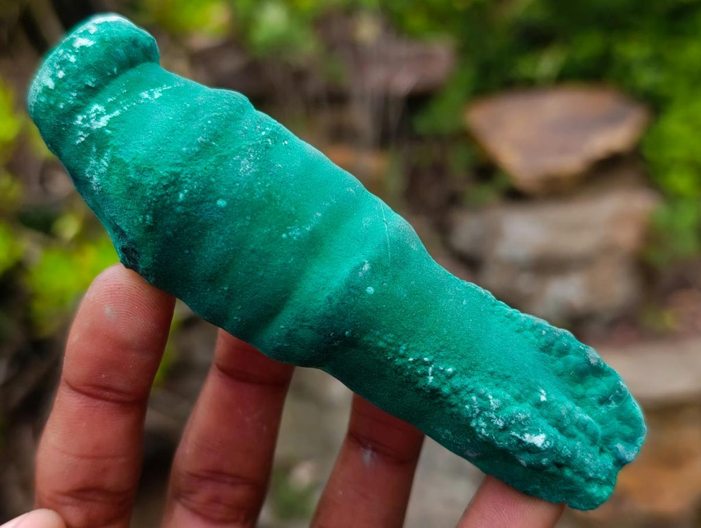 Natural Groovy Long Malachite Stalagmite Specimen x 1 From Kasompe, Congo