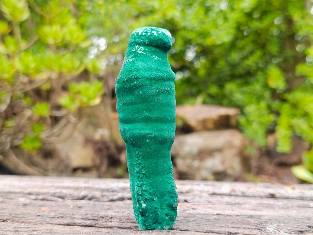 Natural Groovy Long Malachite Stalagmite Specimen x 1 From Kasompe, Congo