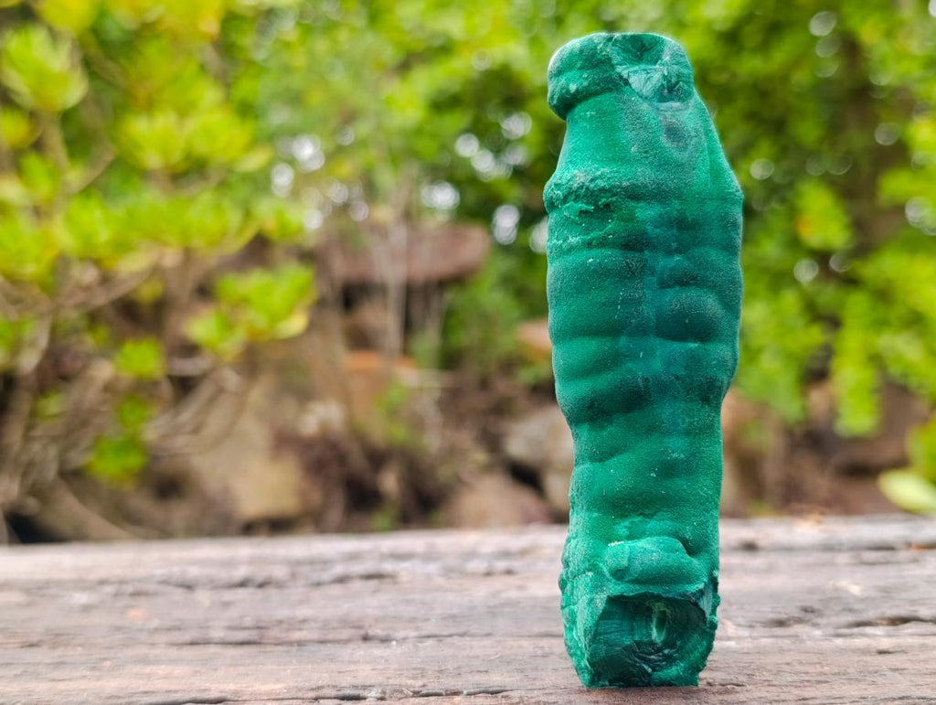 Natural Groovy Long Malachite Stalagmite Specimen x 1 From Kasompe, Congo
