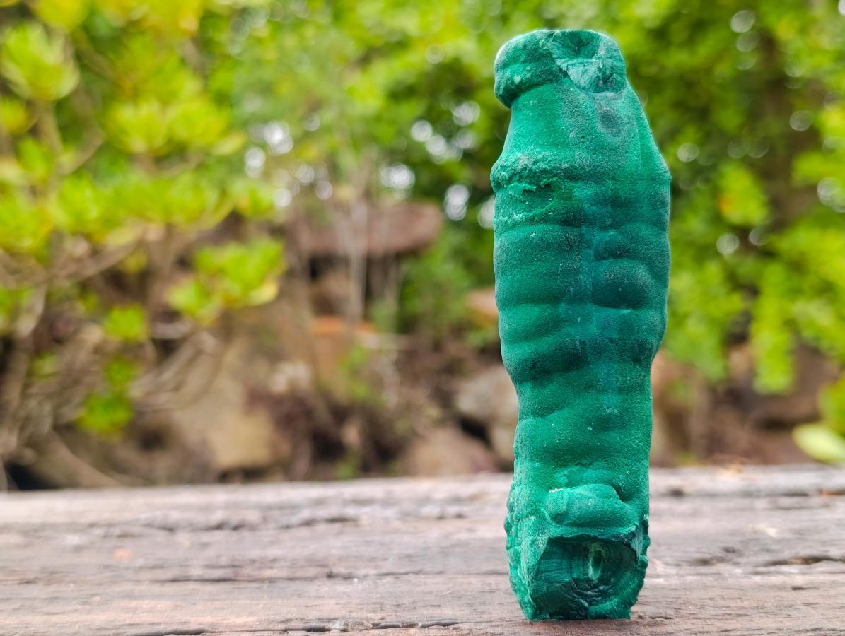 Natural Groovy Long Malachite Stalagmite Specimen x 1 From Kasompe, Congo