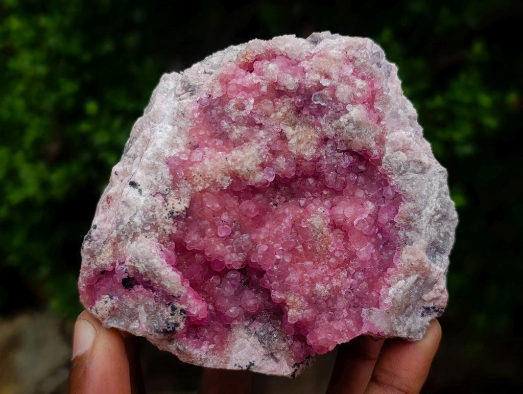 Natural Large Gemmy Pink Botryoidal Spherocobaltite Specimen x 1 From Mashamba West Mine, Congo