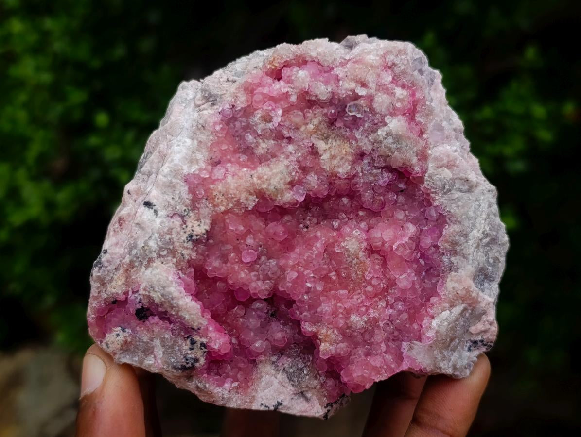 Natural Large Gemmy Pink Botryoidal Spherocobaltite Specimen x 1 From Mashamba West Mine, Congo