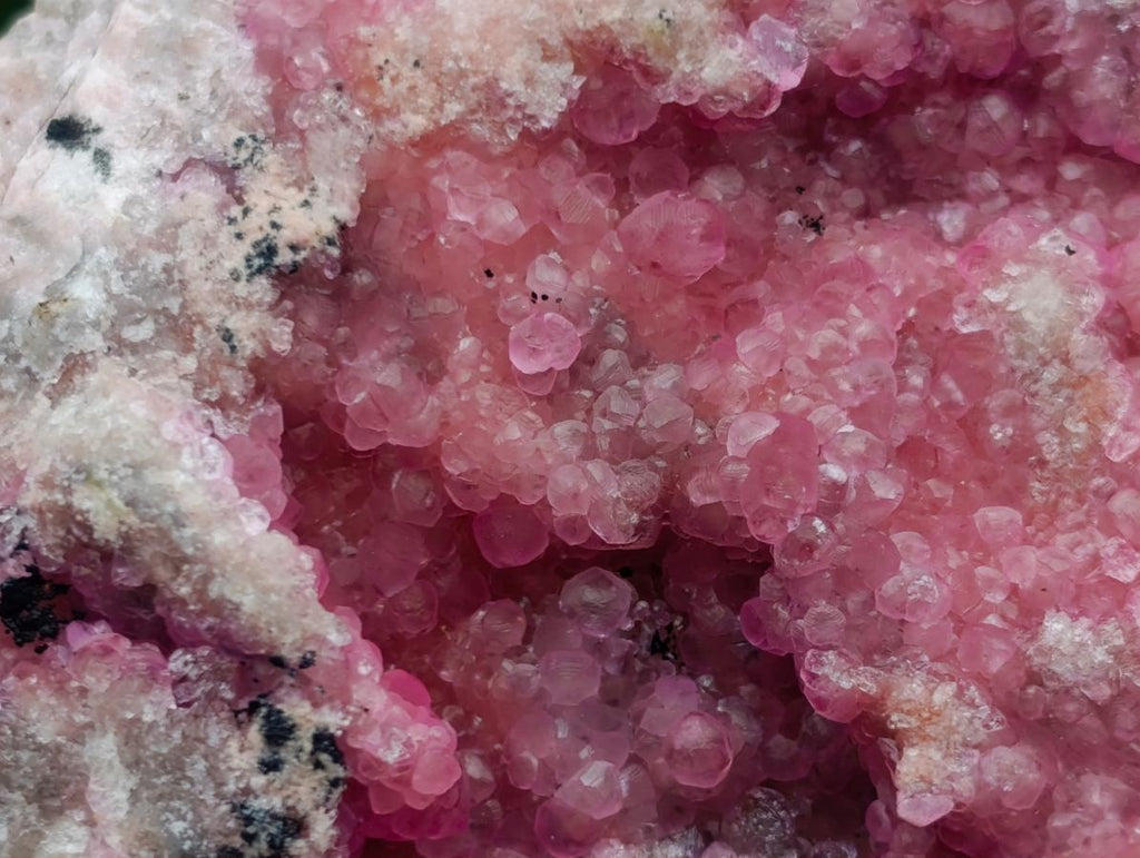 Natural Large Gemmy Pink Botryoidal Spherocobaltite Specimen x 1 From Mashamba West Mine, Congo