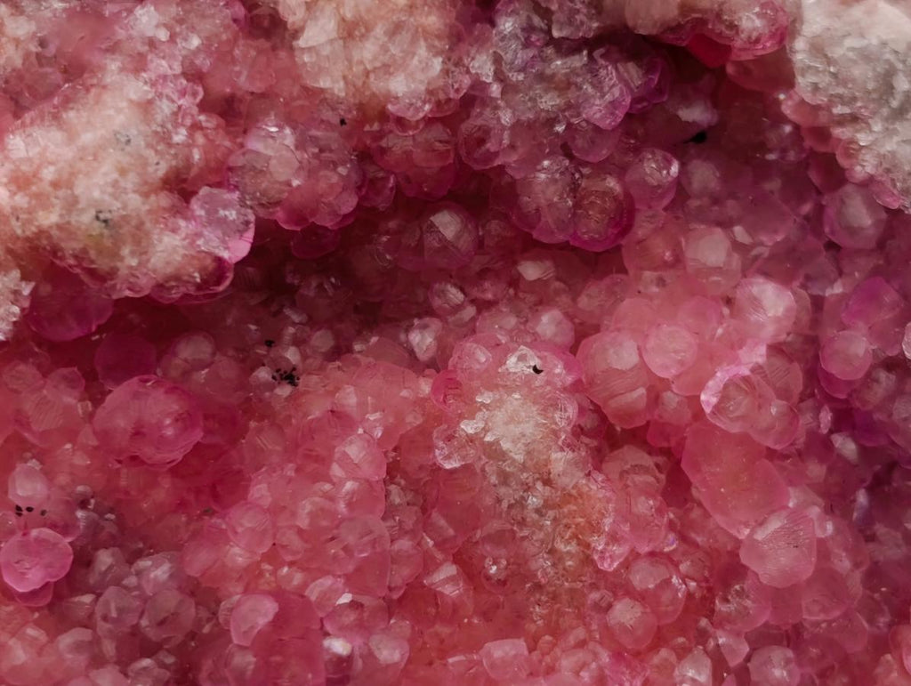 Natural Large Gemmy Pink Botryoidal Spherocobaltite Specimen x 1 From Mashamba West Mine, Congo