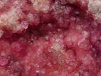Natural Large Gemmy Pink Botryoidal Spherocobaltite Specimen x 1 From Mashamba West Mine, Congo