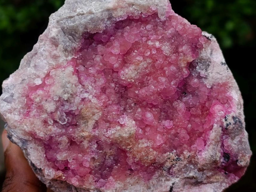 Natural Large Gemmy Pink Botryoidal Spherocobaltite Specimen x 1 From Mashamba West Mine, Congo