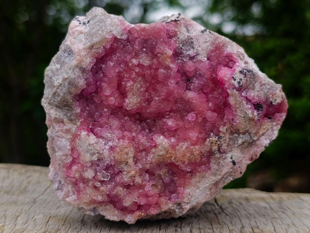 Natural Large Gemmy Pink Botryoidal Spherocobaltite Specimen x 1 From Mashamba West Mine, Congo