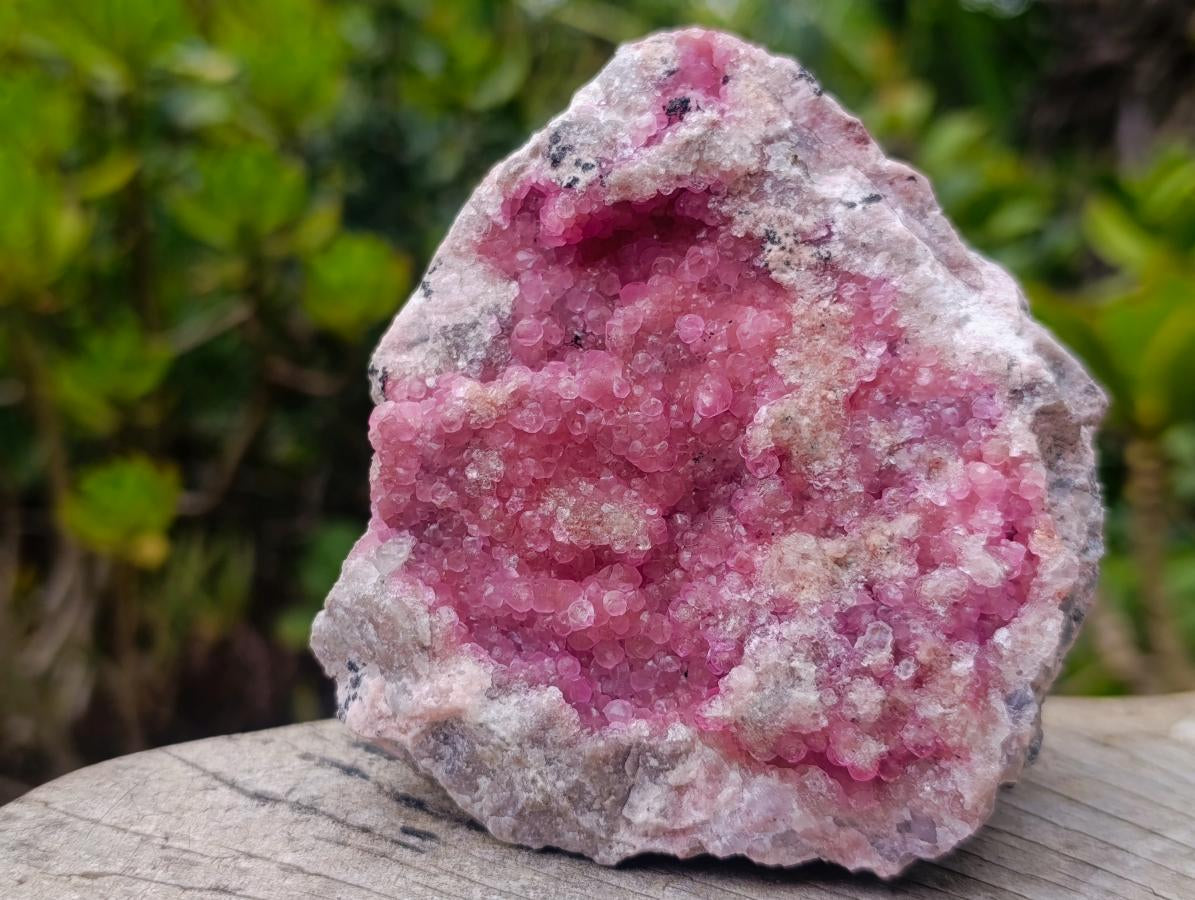 Natural Large Gemmy Pink Botryoidal Spherocobaltite Specimen x 1 From Mashamba West Mine, Congo