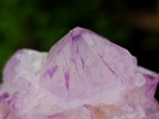 Natural Mixed Collectors Set of 6 African Minerals in a Wooden Display Box x 1 From Southern Africa