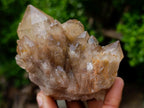 Natural Mixed Collectors Set of 6 African Minerals in a Wooden Display Box x 1 From Southern Africa