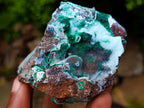 Natural Mixed Collectors Set of 6 African Minerals in a Wooden Display Box x 1 From Southern Africa