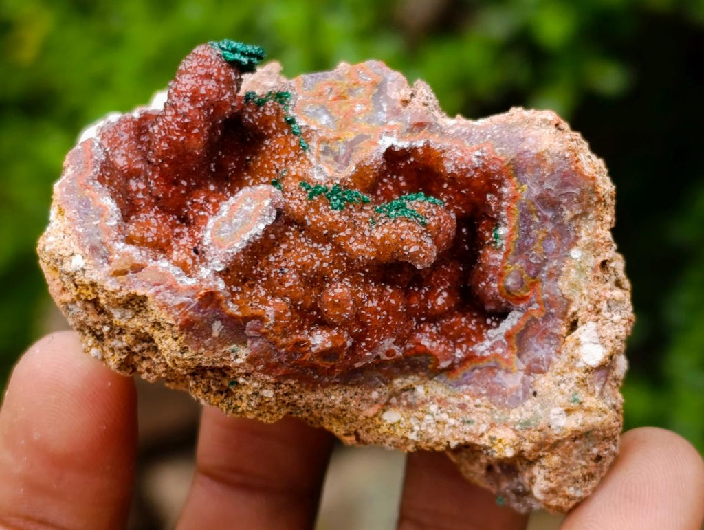 Natural Mixed Collectors Set of 6 African Minerals in a Wooden Display Box x 1 From Southern Africa