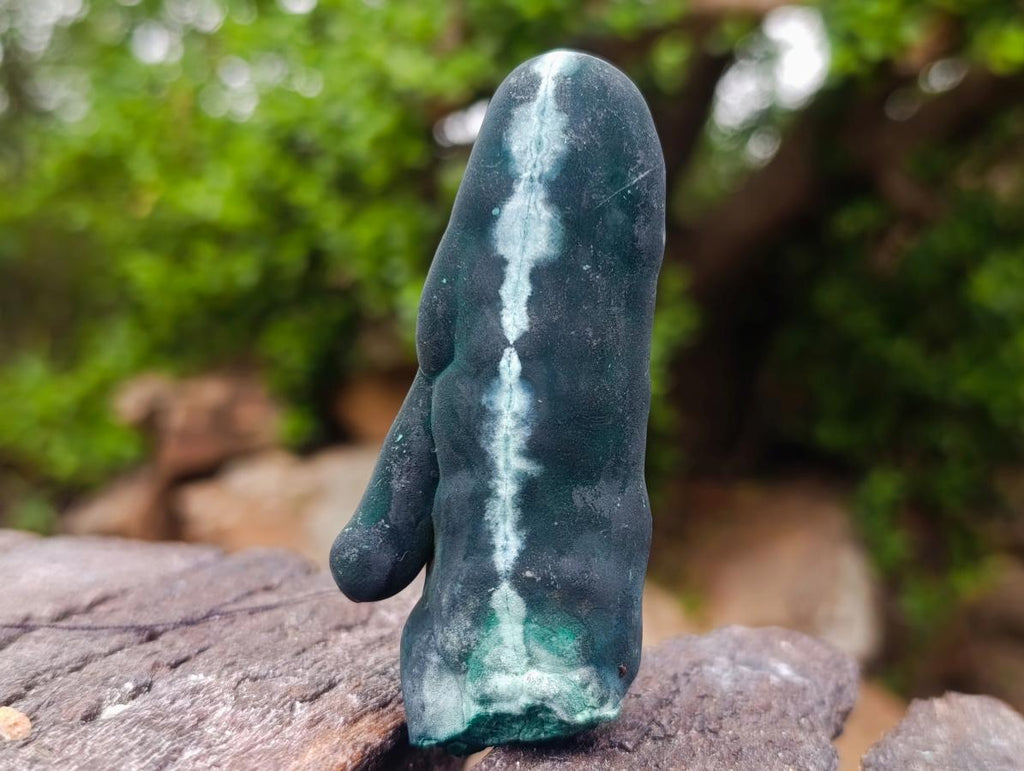 Natural Dark Green Velvet Malachite Stalagmite Specimen x 1 From Kasompe, Congo