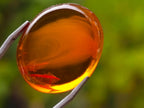 Polished Gorgeous Baltic Amber Jewellery Free Form x 1 From Poland