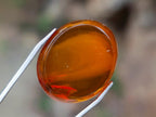 Polished Gorgeous Baltic Amber Jewellery Free Form x 1 From Poland
