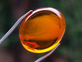 Polished Gorgeous Baltic Amber Jewellery Free Form x 1 From Poland