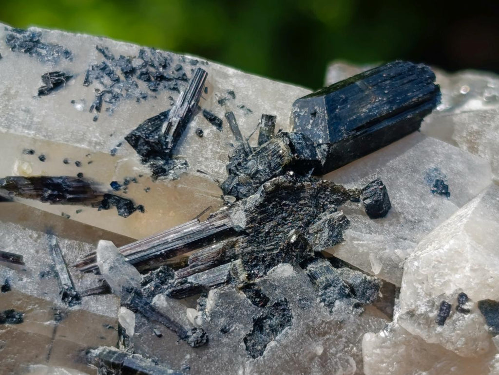 Natural Erongo Smokey Quartz with Black Schorl Tourmaline in a Splayed Formation x 1 From Erongo, Namibia