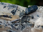 Natural Erongo Smokey Quartz with Black Schorl Tourmaline in a Splayed Formation x 1 From Erongo, Namibia