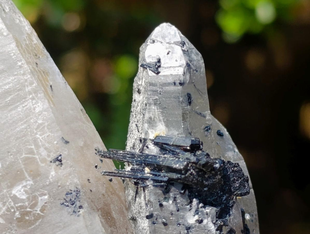 Natural Erongo Smokey Quartz with Black Schorl Tourmaline in a Splayed Formation x 1 From Erongo, Namibia