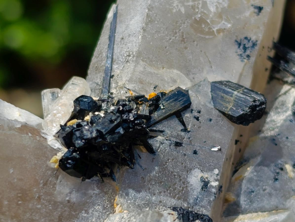 Natural Erongo Smokey Quartz with Black Schorl Tourmaline in a Splayed Formation x 1 From Erongo, Namibia